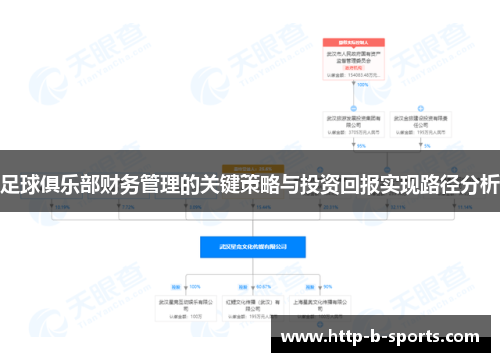 足球俱乐部财务管理的关键策略与投资回报实现路径分析