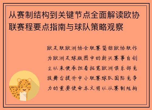 从赛制结构到关键节点全面解读欧协联赛程要点指南与球队策略观察