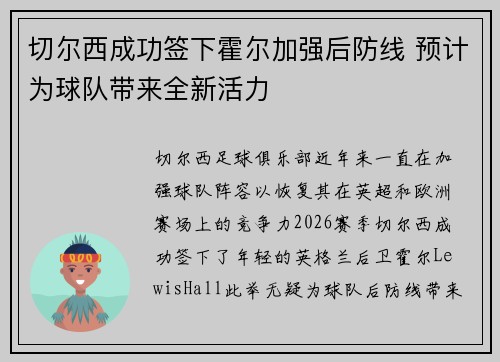 切尔西成功签下霍尔加强后防线 预计为球队带来全新活力